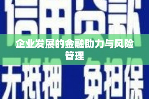 卢龙企业发展的金融助力与风险管理