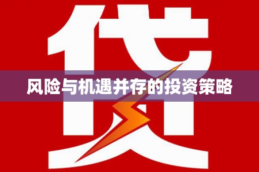 卢龙风险与机遇并存的投资策略