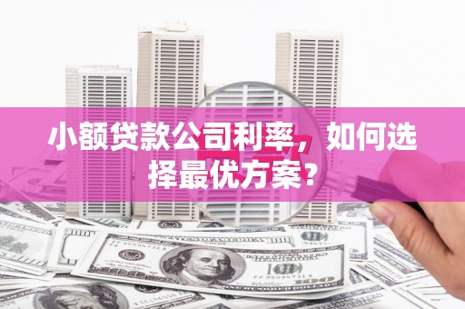 卢龙小额贷款公司利率，如何选择最优方案？