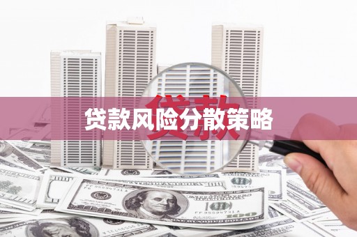 卢龙贷款风险分散策略