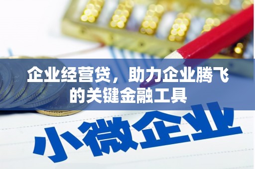 卢龙企业经营贷，助力企业腾飞的关键金融工具