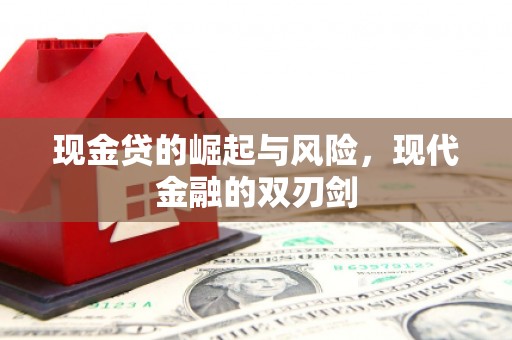 卢龙现金贷的崛起与风险，现代金融的双刃剑