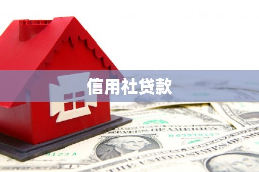 卢龙信用社贷款