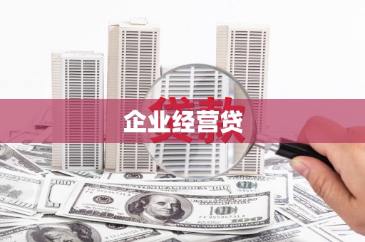 卢龙企业经营贷