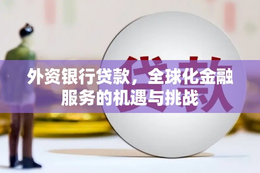 卢龙外资银行贷款，全球化金融服务的机遇与挑战