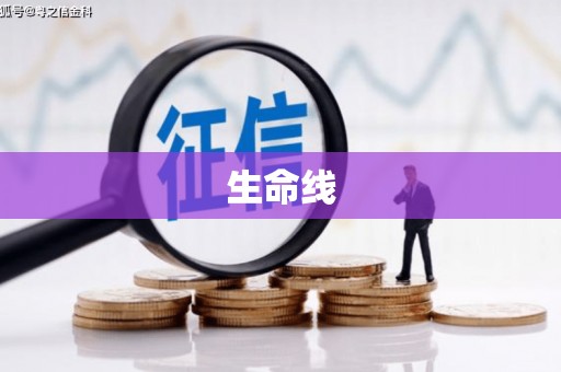 卢龙生命线