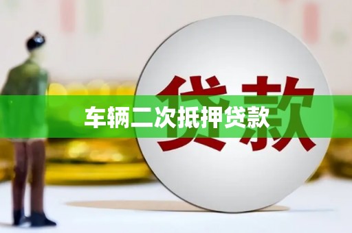 卢龙车辆二次抵押贷款