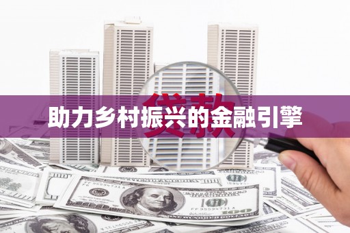 卢龙助力乡村振兴的金融引擎