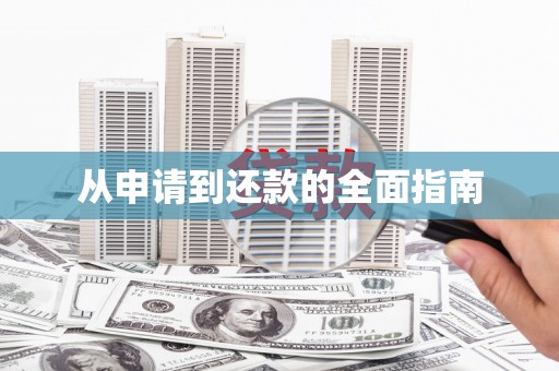 卢龙从申请到还款的全面指南