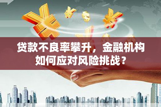 卢龙贷款不良率攀升，金融机构如何应对风险挑战？