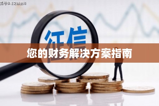 卢龙您的财务解决方案指南