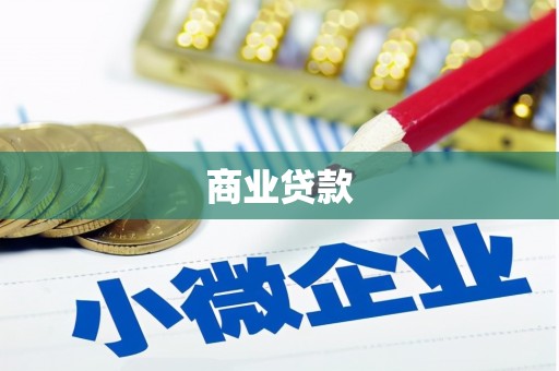 卢龙商业贷款