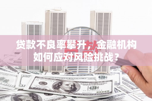 卢龙贷款不良率攀升，金融机构如何应对风险挑战？