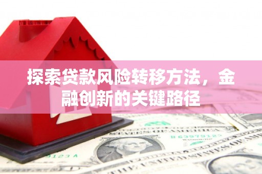 卢龙探索贷款风险转移方法，金融创新的关键路径