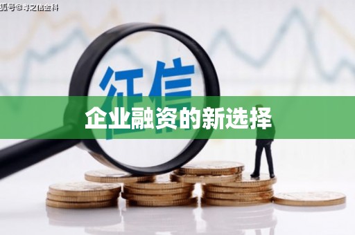 卢龙企业融资的新选择