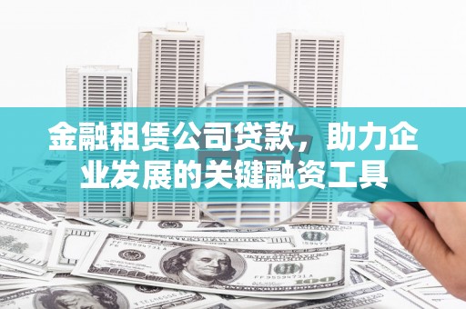 卢龙金融租赁公司贷款，助力企业发展的关键融资工具
