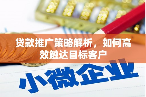 卢龙贷款推广策略解析，如何高效触达目标客户
