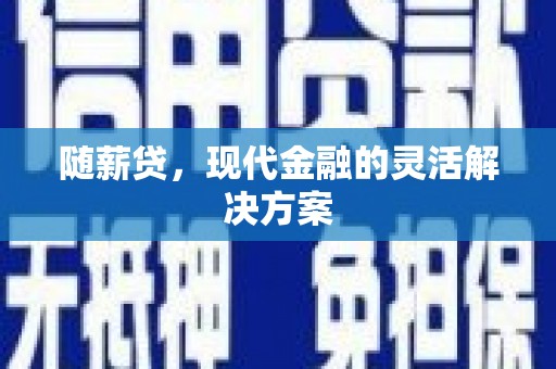 卢龙随薪贷，现代金融的灵活解决方案