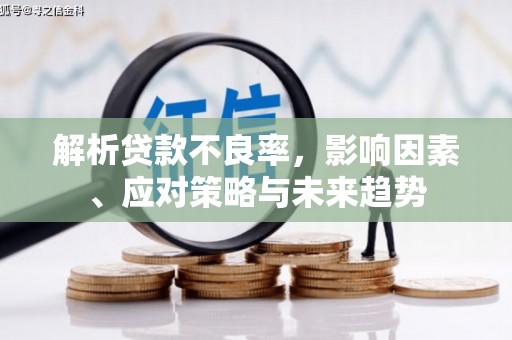 卢龙解析贷款不良率，影响因素、应对策略与未来趋势