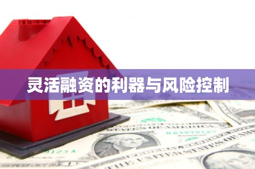 卢龙灵活融资的利器与风险控制