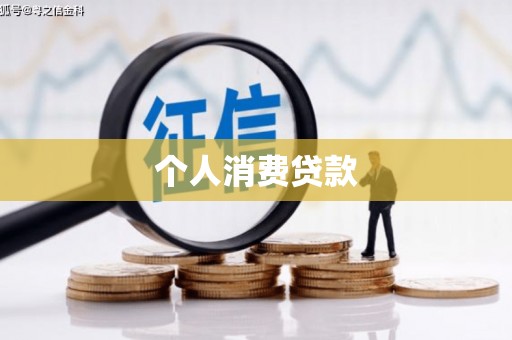 卢龙个人消费贷款