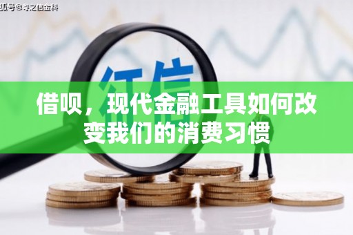 卢龙借呗，现代金融工具如何改变我们的消费习惯