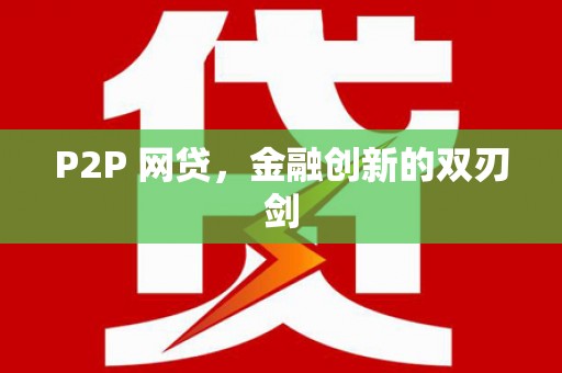 卢龙P2P 网贷，金融创新的双刃剑