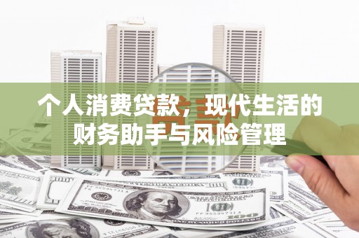 卢龙个人消费贷款，现代生活的财务助手与风险管理