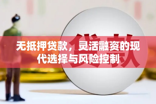 卢龙无抵押贷款，灵活融资的现代选择与风险控制