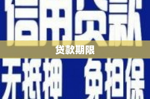 卢龙贷款期限