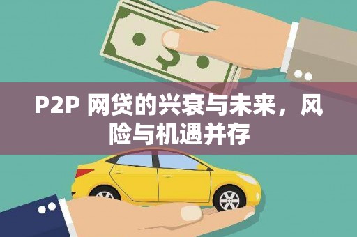 卢龙P2P 网贷的兴衰与未来，风险与机遇并存
