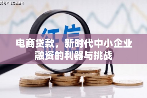 卢龙电商贷款，新时代中小企业融资的利器与挑战