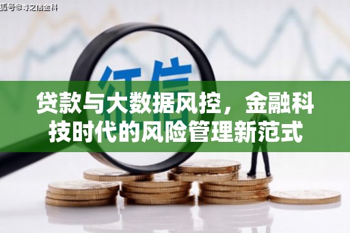 卢龙贷款与大数据风控，金融科技时代的风险管理新范式