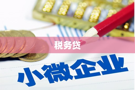 卢龙税务贷