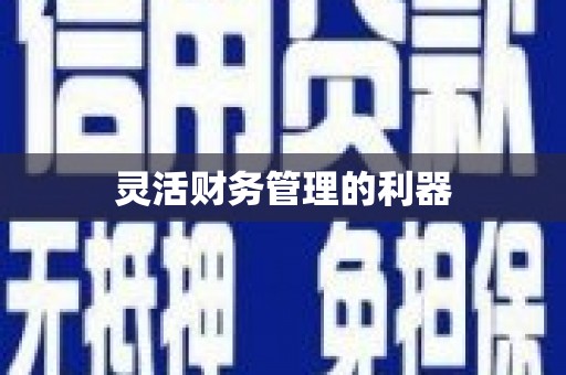 卢龙灵活财务管理的利器