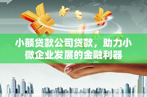 卢龙小额贷款公司贷款，助力小微企业发展的金融利器