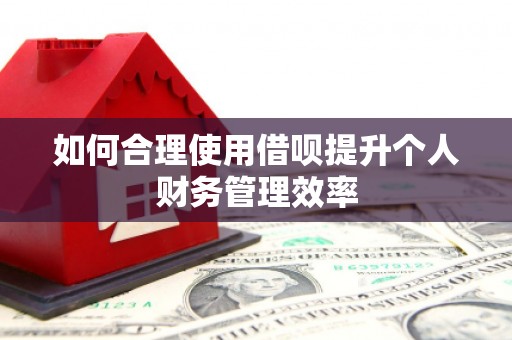 卢龙如何合理使用借呗提升个人财务管理效率