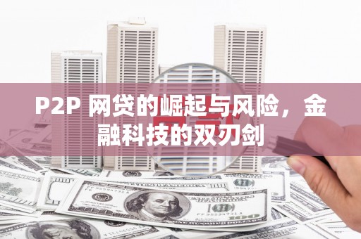 卢龙P2P 网贷的崛起与风险，金融科技的双刃剑