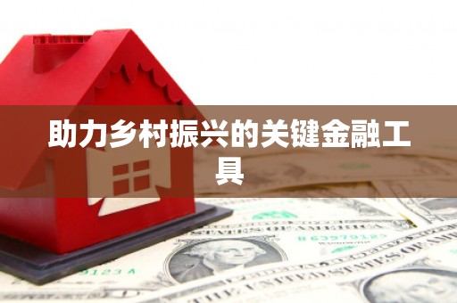 卢龙助力乡村振兴的关键金融工具