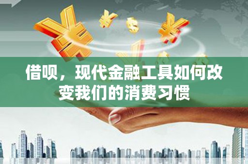 卢龙借呗，现代金融工具如何改变我们的消费习惯