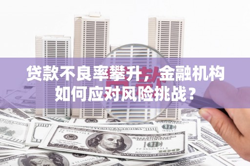 卢龙贷款不良率攀升，金融机构如何应对风险挑战？