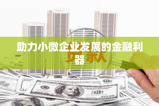 卢龙助力小微企业发展的金融利器