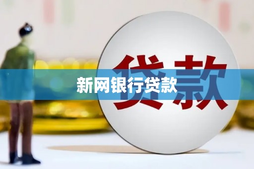 卢龙新网银行贷款