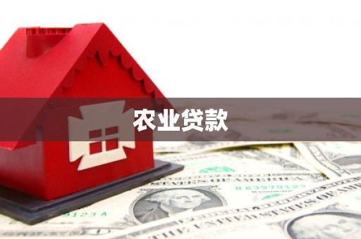 卢龙农业贷款