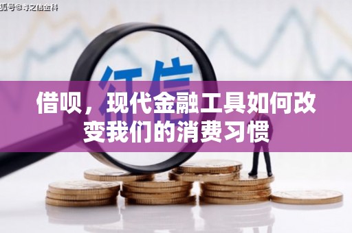 卢龙借呗，现代金融工具如何改变我们的消费习惯