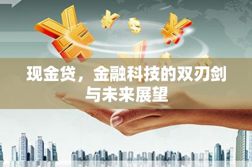 卢龙现金贷，金融科技的双刃剑与未来展望