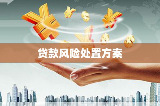 卢龙贷款风险处置方案
