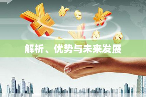 卢龙解析、优势与未来发展