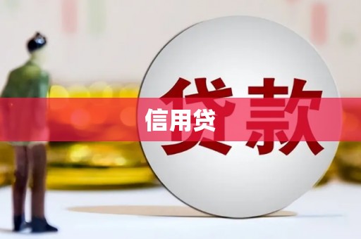 卢龙信用贷