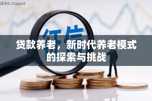 卢龙贷款养老，新时代养老模式的探索与挑战